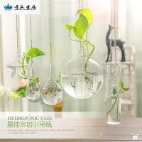 在飛比找樂天市場購物網優惠-，盆栽花卉植物掛墻壁水養水培玻璃壁掛式花瓶客廳透明墻上小吊瓶