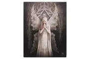 Anne Stokes Only Love Remains Canvas (Multicoloured) (Small)