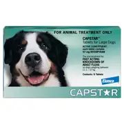 Capstar Flea Treatment 11-57kg Dog 6pk