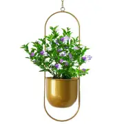 Ceiling Planter Hangable Pot for Indoor Plants Metal Chlorophytum Pot