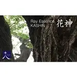 花神（かしん）現世開出花，讓枯木開花－雷光風水環境精素系列（RAY ESSENCES）花精／日本／食在自在