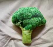 Small plush dog toy squeaky realistic broccoli print (3")
