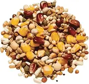 Countrywide Redstar Speed Plus Pigeon Feed Mix, 20 kg
