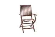 Maculata Folding Arm Chair