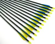 12 Shiny Black® 32" Fiberglass Hunting / Target Arrows w/ Screw-In Field Points