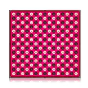 Anti Aging 660nm 850nm Full Body 45w Red Near Infrared Led Therapy Light Panel EU Plug