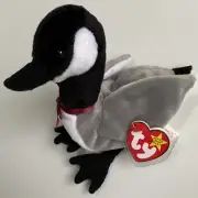 NEW *RARE* 1998 TY Beanie Babies Loosy Goose MWMT *2 ERRORS on Tag*