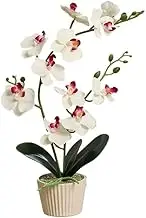Artificial Orchids Flowers with Vase for Table Centerpieces, Faux Orchid Orquideas Fake Real Touch Vivid Phalaenopsis White Plant Indoor Room Decoration for Home Office Decoration