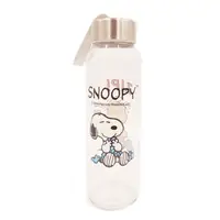 在飛比找蝦皮商城優惠-Snoopy 史努比 SP-1562 巧用玻璃瓶 300ml