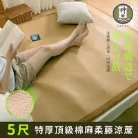 在飛比找PChome24h購物優惠-《神田職人》3D頂級特厚【柔藤】透氣涼蓆-B 雙人5尺 棉麻