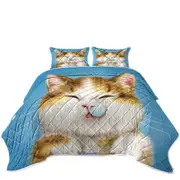 Funny Drawings for Kids Cute Sleepy Kitty Cat Coverlet