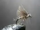 1 DOZEN CDC HARE´S EAR DIPTEROUS FOR FLY FISHING (DIP-5)