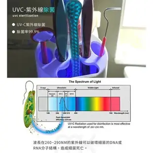 強強滾p-TidyTech UV紫外線消毒牙刷筒 (LZ-ZY)