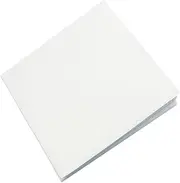 BESPORTBLE Parrot Cage Liner 100pcs Thick Paper Pad Bird Cage Mats Parakeet Bird Bedding Easy to Install Replace