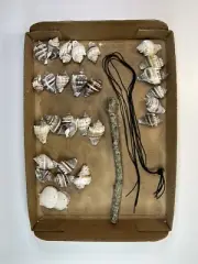 2.5" Kings Crown Conch 5 String Sea Shell Wind chimes KIT Wall Patio Beach Decor