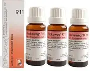 Dr.Reckeweg Germany R11 Rheuma Drops Pack of 3
