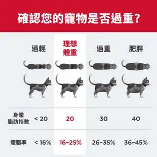 【希爾思】完美體重 雞肉 1-6歲成貓 6.8公斤/1.36公斤/罐頭 (貓飼料 貓糧 天然食材 減重 體重控制)