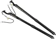 Electric Tailgate,OE 68920-79017 68910-79017 Left and Right Car Electric Tailgate Lift Power Liftgate Strut Motor,Compatible with Toyota,Compatible with Lexus 2.0L NX(A Pair)