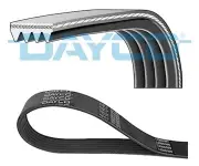V-Ribbed Belt fits: MAN F2000 19.603 FLS 19604 FLS/26.603 DFS DFLS/27.603 DFS