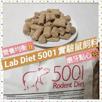 在飛比找樂天市場購物網優惠-【鼠勾乙】 熱賣 LabDiet 5001 實驗室鼠飼料 營