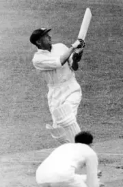 Australias Don Bradman hooks a ball to the boundary Cricket Old Photo
