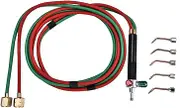 Mini Gas Torch, with 5 Tips Jewelry Repairing Torch, Glass Blowing for Jewelry Processing Crafts