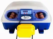 Borotto REAL 24 Egg Chicken / Poultry Incubator Automatic