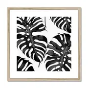 Monochrome Monstera Leaves Framed & Mounted Print