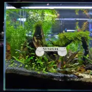 Rest Bed Leaf for Betta Fish Hideout Aquarium Décor Accessories