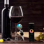 Great Barrier Reef Wine Bottle Stopper in Gift Box, Perfect for House Warming