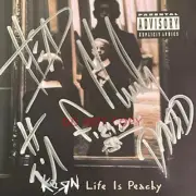Korn metal band SIGNED reprint 12x12 Album Photo Autographed RP #2