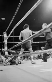 Salvador Sanchez Moves Toward Referee Tony Perez Old Boxing Photo