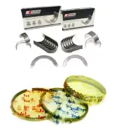 00-11 Scion xA xB Toyota Echo Yaris 1.5L 1NZFE PISTON RINGS KING BEARINGS (for: Toyota)