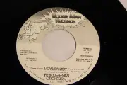Boogie Man Orchestra: Lady, Lady, Lady [instrumental/vocals] [NEW & Unplayed]