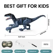 Remote Control Dinosaur Toys for Kids, 2.4GHz Robot Walking Dinosaur Toy B