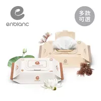 在飛比找蝦皮商城優惠-ENBLANC 韓國 銀離子抗菌 有蓋大包 隨身包 純水濕紙