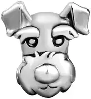 [SBI Jewelry] Dog Love Charm Compatible with Pandora Bracelet Women Girls Silver Bead Pet Family Friends Animal Birthday Anniversary, Copper, No Gemstone