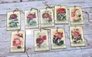 9~Vintage~Ephemera~French Roses~Junk Journal~Linen Cardstock~Gift~Hang~Tags