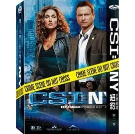CSI犯罪現場：紐約 CSI: NEW YORK 第二季 第2季 DVD ***限量特價***