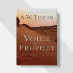 A.W TOZER 的聲音先知