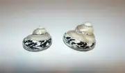 TWO (2) POLISHED MAGPIE TURBO W/ PEARL TOP HALF, SEA SHELLS BEACH CRAFT AQUARIUM