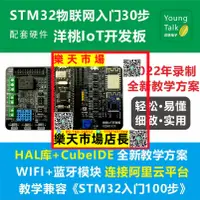 在飛比找樂天市場購物網優惠-IoT開發板 STM32物聯網入門30步視頻 ARM單片機S