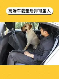 在飛比找樂天市場購物網優惠-寵物狗狗車載墊窩后排汽車防臟伴趣大型犬狗坐車神器安全座椅墊子