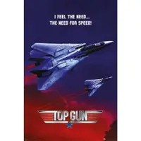 在飛比找有閑購物優惠-【捍衛戰士】TOP GUN (THE NEED FOR SP