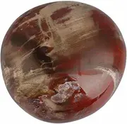 Natural Stone,Worry Stone Polished Irregular Pebble Stone Crystal 5 Petrified Wood