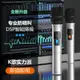 萬能無線話筒一拖二U段帶接收器專業舞臺家用ktv麥克風專用全民k歌唱歌戶外音響會議卡拉ok演出通用