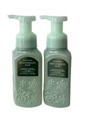 2 BATH & BODY WORKS GENTLE CLEAN FOAMING HAND Soap Fresh Sparkling Snow