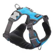 Dog Harness by Red Dingo Padded Turquoise Xs Size