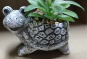 Gray Concrete Look Turtle Planter Succulent Home Decor 5"x5"