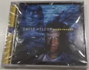 SEALED OP David Wilcox “Underneath” 1999 Vanguard Records CD! Brand New!